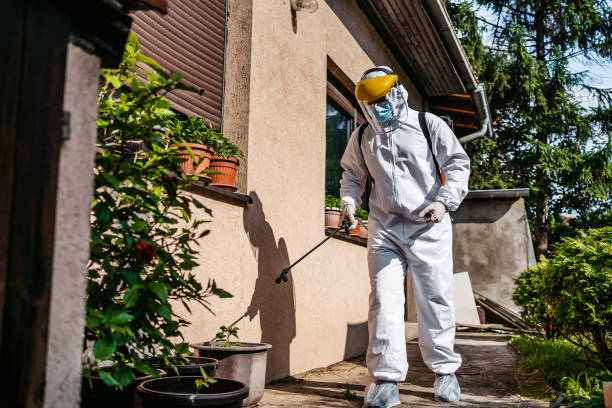 Best Best Pest Control Companies  in Hamburg, AR