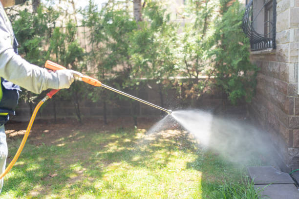 Best Termite Control Services  in Hamburg, AR
