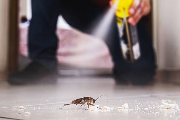 Best Pest Prevention Services  in Hamburg, AR
