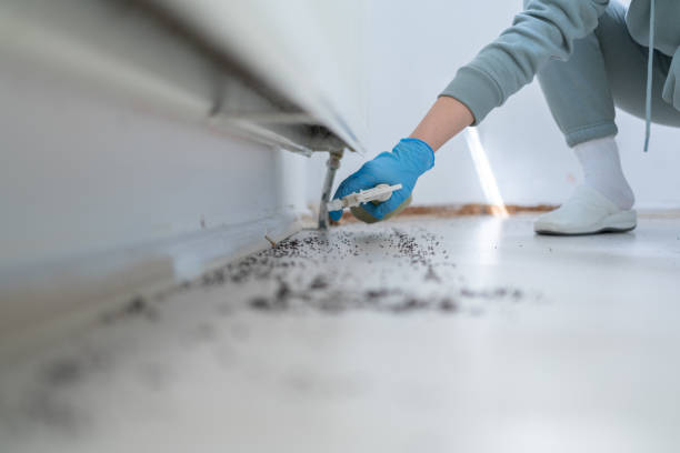Best Emergency Pest Control  in Hamburg, AR