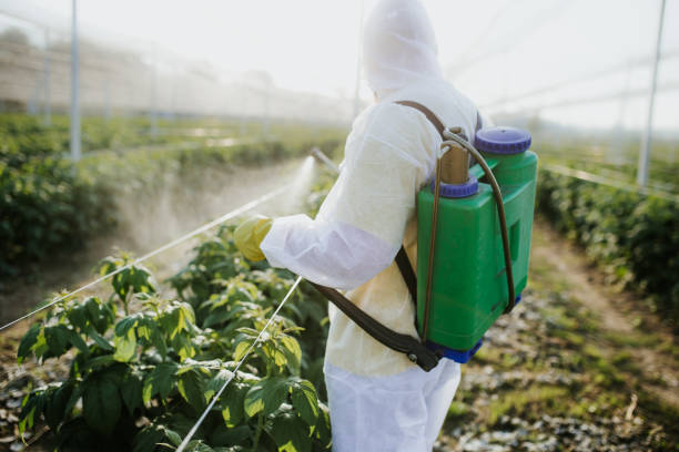  Hamburg, AR Pest Control Pros